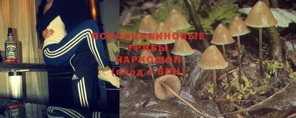 a pvp Алзамай