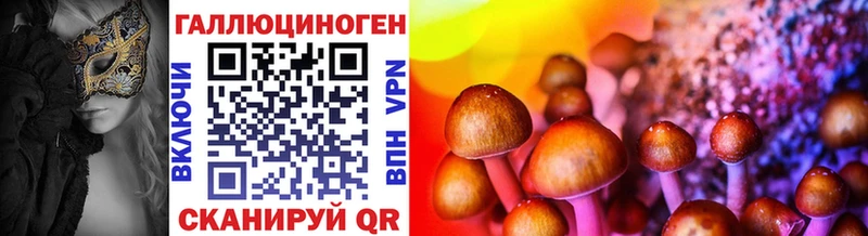 Галлюциногенные грибы Psilocybe  Богородск 