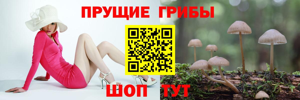 Псилоцибиновые грибы GOLDEN TEACHER Богородск